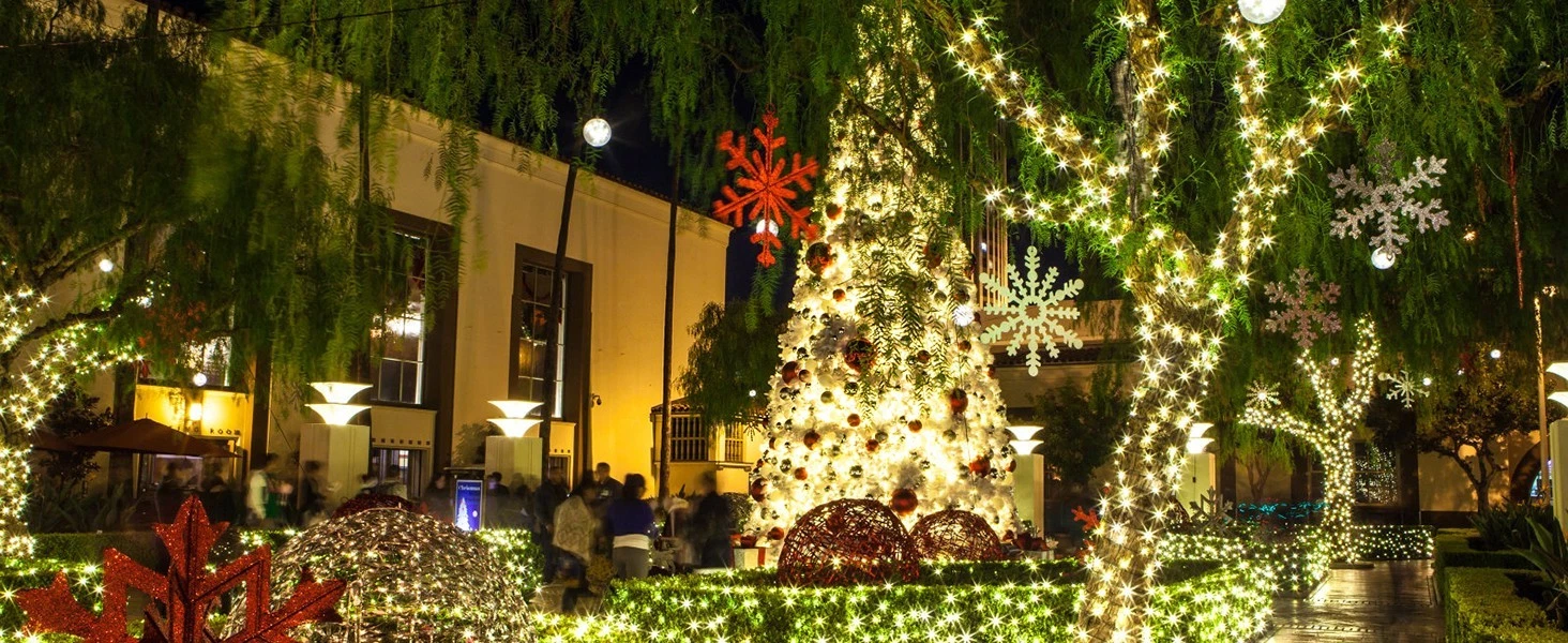 100-1000 LED Fairy String Lights Christmas Tree Wedding Xmas Party Outdoor Decor - Image 12