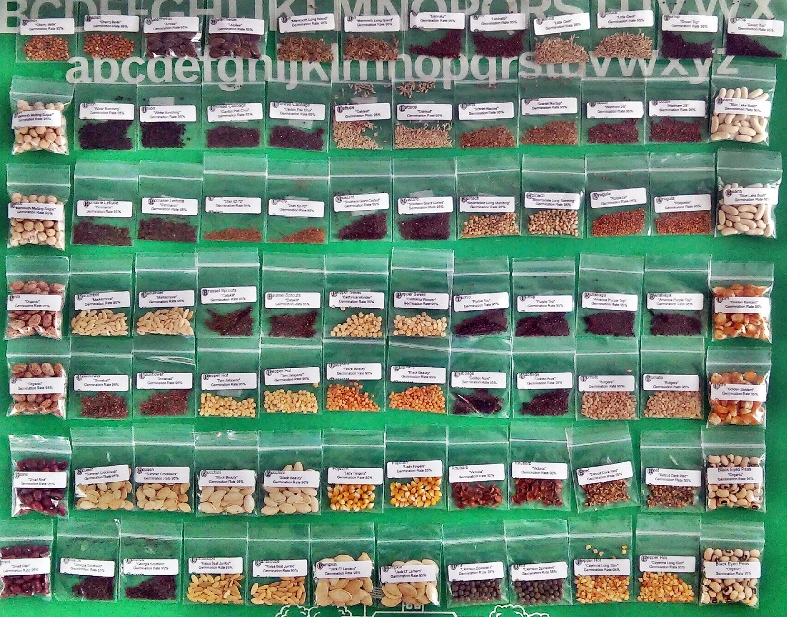 Seeds, Emergency, Survival Non-GMO, Organic, Heirloom 80 Pkgs 40 Different Varieties
