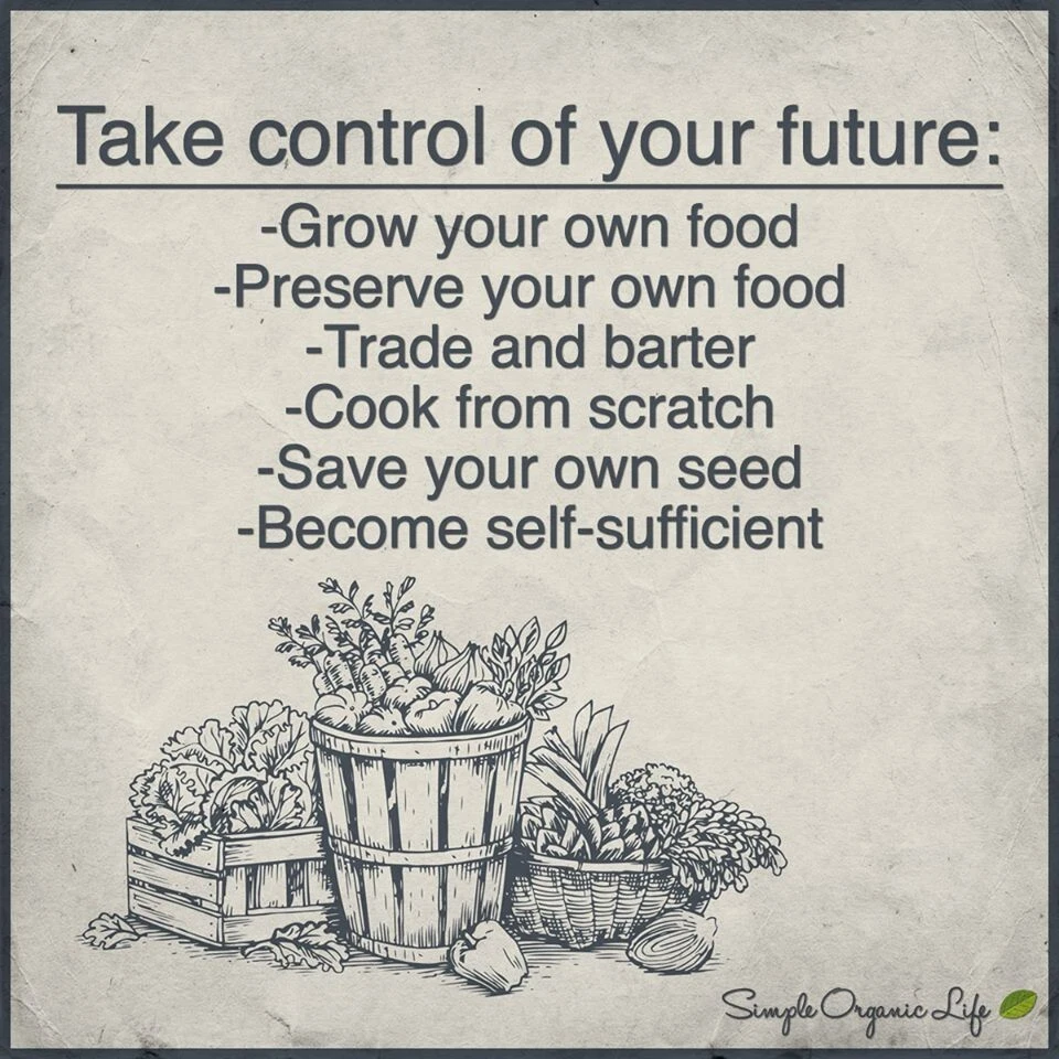 Seeds, Emergency, Survival Non-GMO, Organic, Heirloom 80 Pkgs 40 Different Varieties - Image 2