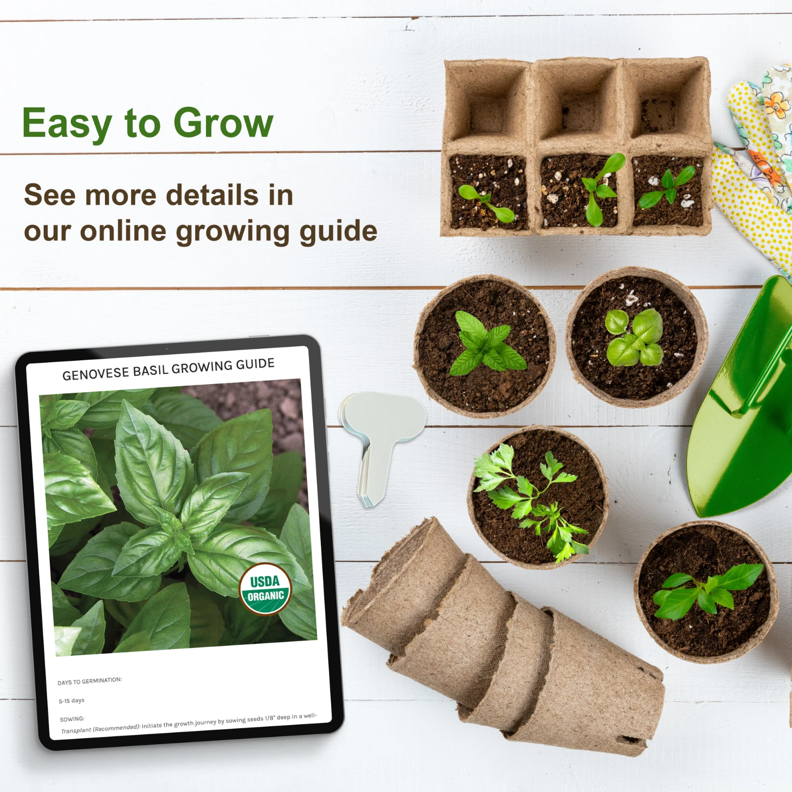 Heirloom Vegetable Seeds Survival Garden Kit - Over 18,000 Seeds, 39 Varieties - Image 7